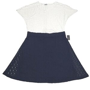 Alfani A-Line Lace Swing Skirt Knee Length Lined See Through Shell Back Zip NWT